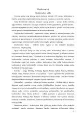 Matavimų inžinerija.  Fizinis planavimas. Kraštotvarka 16 puslapis