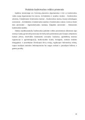 Matavimų inžinerija.  Fizinis planavimas. Kraštotvarka 20 puslapis