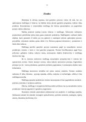 Materialiniai ištekliai ir jų poreikio nustatymas įmonėje 11 puslapis