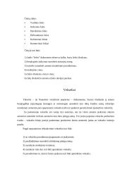 Materialūs bei nematerialūs vertybiniai popieriai 5 puslapis