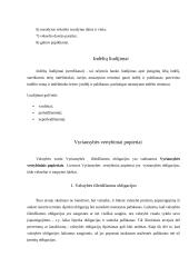 Materialūs bei nematerialūs vertybiniai popieriai 6 puslapis