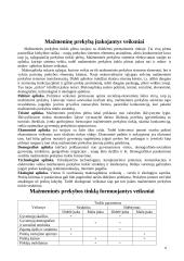 Mažmeninės prekybos verslo situacijos Lietuvoje apibūdinimas 4 puslapis