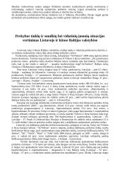 Mažmeninės prekybos verslo situacijos Lietuvoje apibūdinimas 7 puslapis