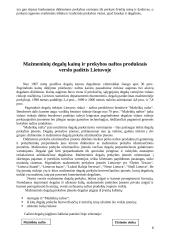 Mažmeninės prekybos verslo situacijos Lietuvoje apibūdinimas 8 puslapis