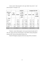 Mažoji  Lietuvos hidroenergetika 13 puslapis