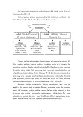 Mažoji  Lietuvos hidroenergetika 17 puslapis