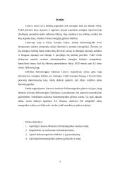 Mažoji  Lietuvos hidroenergetika 3 puslapis