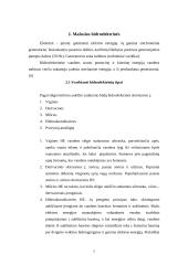 Mažoji  Lietuvos hidroenergetika 7 puslapis