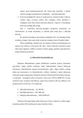 Mažoji  Lietuvos hidroenergetika 8 puslapis