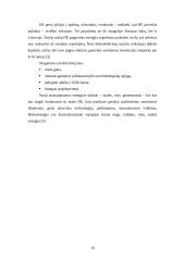 Mažoji  Lietuvos hidroenergetika 10 puslapis