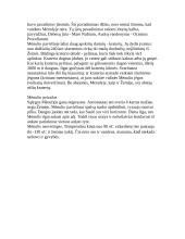 Mažosios planetos 11 puslapis