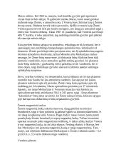 Mažosios planetos 8 puslapis