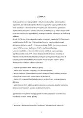 Mažų ir vidutinių įmonių vaidmuo šalies ūkyje 2 puslapis