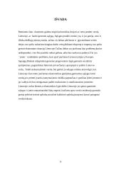 Mažų ir vidutinių įmonių vaidmuo šalies ūkyje 11 puslapis