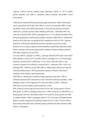 Mažų ir vidutinių įmonių vaidmuo šalies ūkyje 6 puslapis