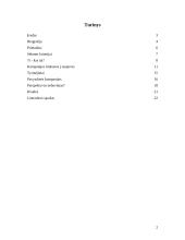 McKinsey 7S teorija 2 puslapis