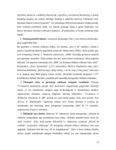 McKinsey 7S teorija 13 puslapis