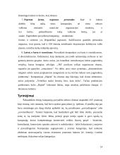 McKinsey 7S teorija 14 puslapis