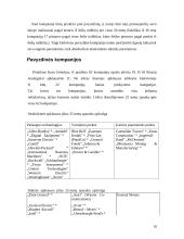 McKinsey 7S teorija 16 puslapis