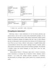 McKinsey 7S teorija 17 puslapis