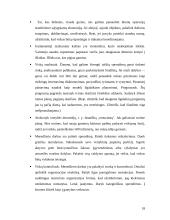 McKinsey 7S teorija 18 puslapis