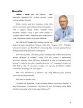 McKinsey 7S teorija 4 puslapis