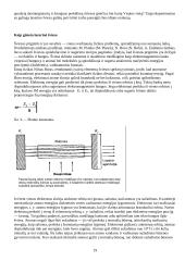 Medicinos vystymasis 18 puslapis