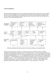 Medicinos vystymasis 20 puslapis