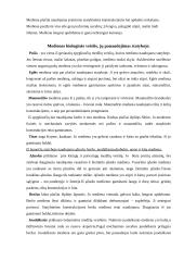 Medienos apdorojimas ir panaudojimas 2 puslapis