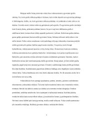 Meilė ir mirtis viduramžių kultūroje 2 puslapis