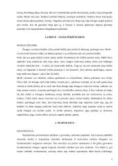 Meilė ir neapykanta 5 puslapis