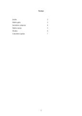 Meilė kaip dorovinė vertybė ir santuokos pagrindas 2 puslapis