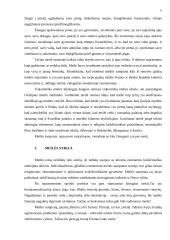 Meilės samprata krikščioniškoje moralėje 5 puslapis