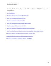 Meksikos socialinės ir ekonominės raidos ypatumų analizė 18 puslapis