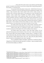 Meninis judėjimas - Fluxus 9 puslapis