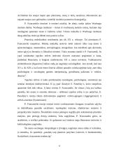 Meno sociologijos klasikas - Francastelis 4 puslapis