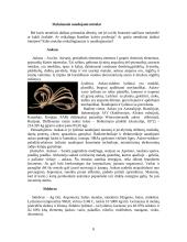 Metalai chemijoje ir gyvenime 8 puslapis