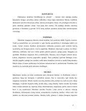 Metalistų subkultūra 4 puslapis