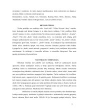 Metalistų subkultūra 5 puslapis