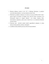 Metalistų subkultūra 7 puslapis