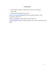 Metalistų subkultūra 8 puslapis