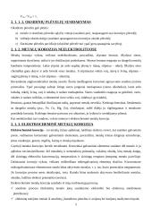 Metalų korozija ir apsauga nuo korozijos 5 puslapis