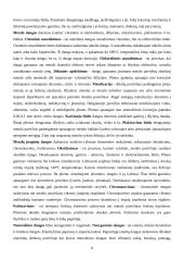 Metalų korozija ir apsauga nuo korozijos 8 puslapis