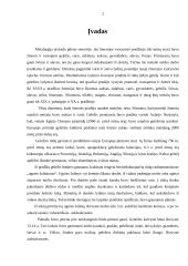 Metalurgijos pramonė 2 puslapis