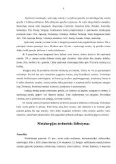 Metalurgijos pramonė 4 puslapis