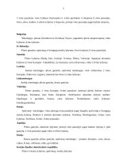 Metalurgijos pramonė 5 puslapis