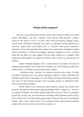 Metalurgijos pramonė 6 puslapis