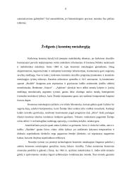 Metalurgijos pramonė 8 puslapis