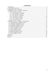 Metaphorical Terms in Business Language 2 puslapis