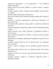 Miesto požeminiai inžineriniai tinklai: Dujotėkis 19 puslapis